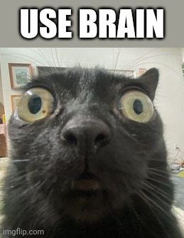 Use brain | USE BRAIN | image tagged in use brain | made w/ Imgflip meme maker