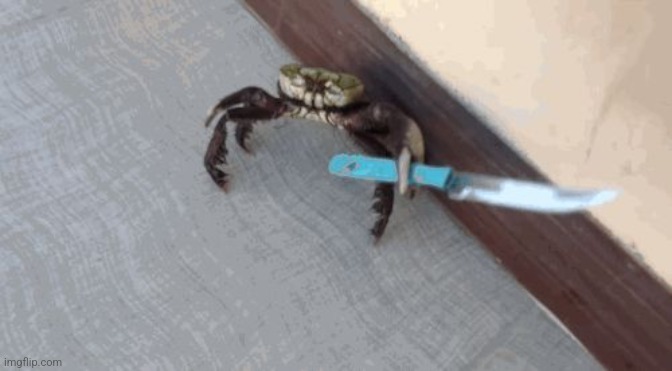 Knife wielding crab | image tagged in knife wielding crab | made w/ Imgflip meme maker