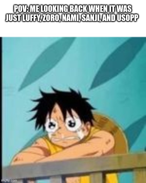 crying luffy | POV: ME LOOKING BACK WHEN IT WAS JUST LUFFY, ZORO, NAMI, SANJI, AND USOPP | image tagged in crying luffy | made w/ Imgflip meme maker