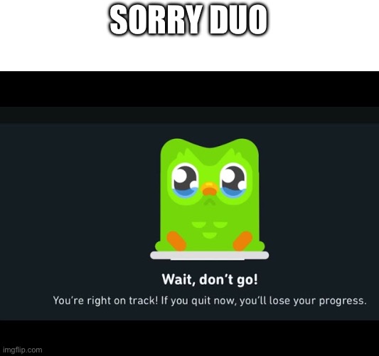 SORRY DUO | image tagged in duolingo | made w/ Imgflip meme maker