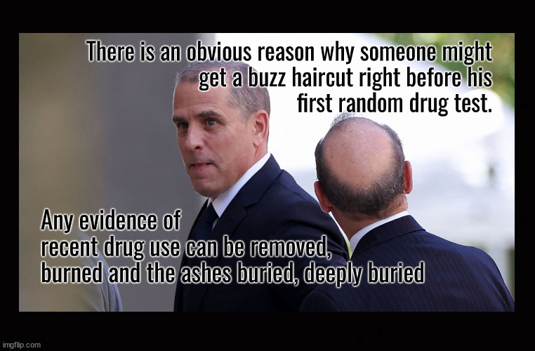 Hunter's new haircut | There is an obvious reason why someone might
get a buzz haircut right before his
first random drug test. Any evidence of
recent drug use can be removed,
burned and the ashes buried, deeply buried | image tagged in hunter biden,hunter biden buzz cut,hair and drug abuse | made w/ Imgflip meme maker