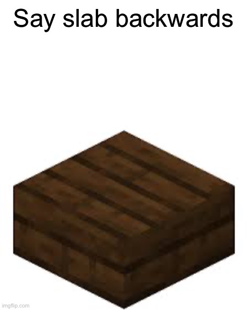 Say slab backwards | image tagged in minecraft,slab | made w/ Imgflip meme maker