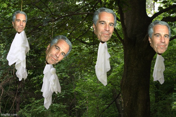 These Halloween decorations didn't hang themselves. LOL | image tagged in jeffrey epstein,democrats,pedophiles | made w/ Imgflip meme maker