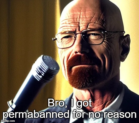 Walter | Bro, I got permabanned for no reason | image tagged in walter | made w/ Imgflip meme maker
