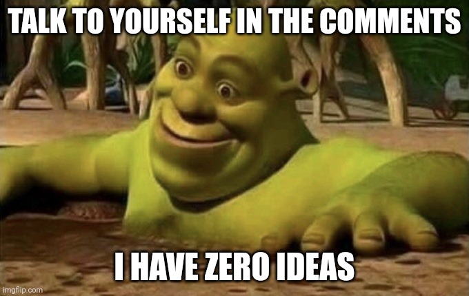 Shocked Shrek | TALK TO YOURSELF IN THE COMMENTS; I HAVE ZERO IDEAS | image tagged in shocked shrek | made w/ Imgflip meme maker