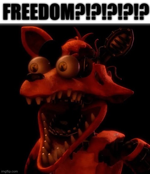 Freedom?!?!?!?! | image tagged in freedom | made w/ Imgflip meme maker