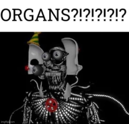 Organs?!?!?!? | image tagged in organs | made w/ Imgflip meme maker