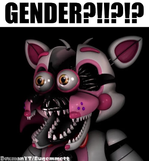 Gender?!?!?! | image tagged in gender | made w/ Imgflip meme maker