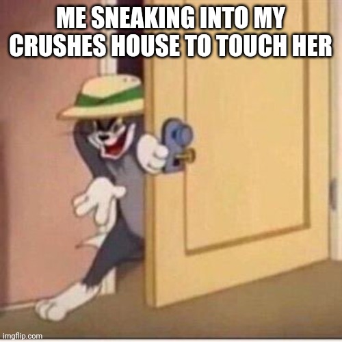 Sneaky tom | ME SNEAKING INTO MY CRUSHES HOUSE TO TOUCH HER | image tagged in sneaky tom | made w/ Imgflip meme maker