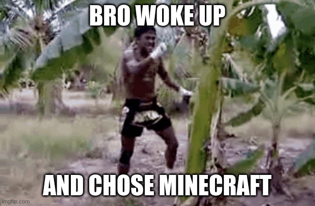 bro woke up and chose minecraft | BRO WOKE UP; AND CHOSE MINECRAFT | image tagged in repost | made w/ Imgflip meme maker