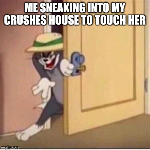 Sneaky tom | ME SNEAKING INTO MY CRUSHES HOUSE TO TOUCH HER | image tagged in sneaky tom | made w/ Imgflip meme maker