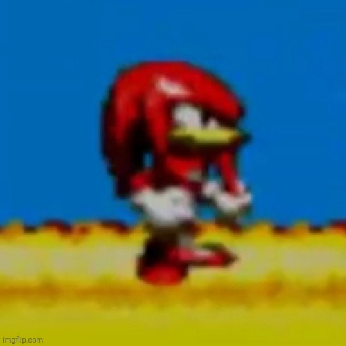 Bruh Knuckles | image tagged in bruh knuckles | made w/ Imgflip meme maker