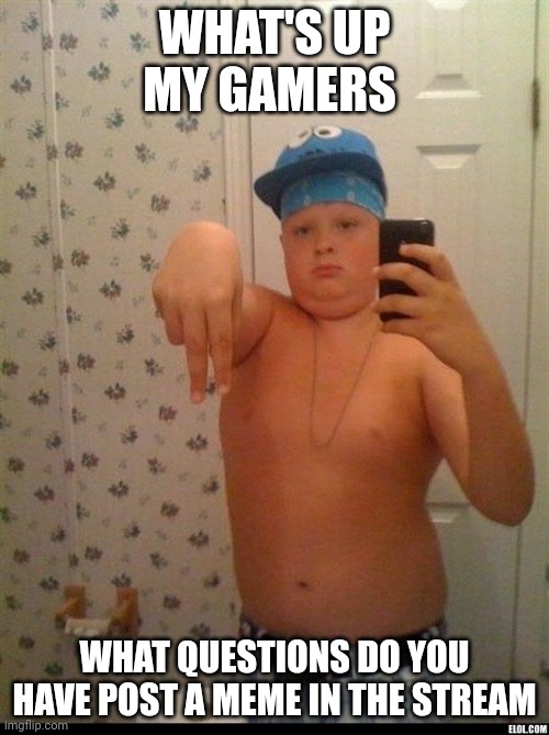 thug life | WHAT'S UP MY GAMERS; WHAT QUESTIONS DO YOU HAVE POST A MEME IN THE STREAM | image tagged in thug life | made w/ Imgflip meme maker