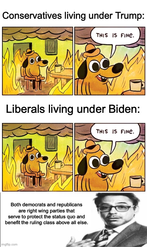 Conservatives living under Trump: Liberals living under Biden: Both democrats and republicans are right wing parties that serve to protect t | image tagged in memes,this is fine,robert downey jr's comments | made w/ Imgflip meme maker