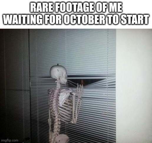 Spoopy time | RARE FOOTAGE OF ME WAITING FOR OCTOBER TO START | image tagged in skeleton looking out window,halloween,spoopy,spooktober | made w/ Imgflip meme maker