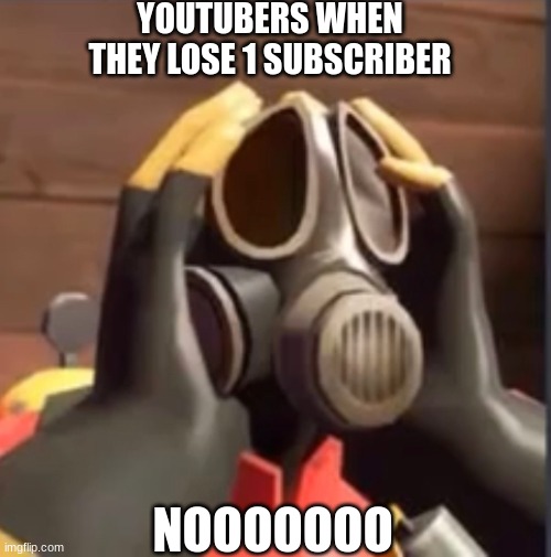 -_- | YOUTUBERS WHEN THEY LOSE 1 SUBSCRIBER; NOOOOOOO | image tagged in pyrofear | made w/ Imgflip meme maker