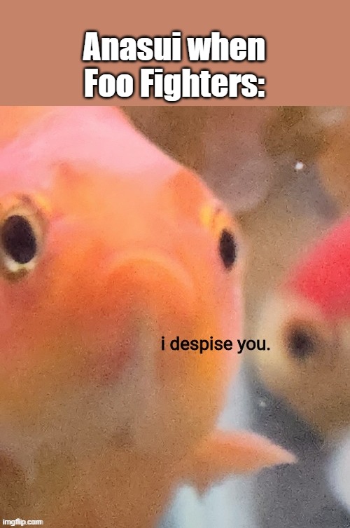 I despise you | Anasui when Foo Fighters: | image tagged in i despise you | made w/ Imgflip meme maker