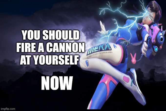 you should fire a cannon at yourself | image tagged in you should fire a cannon at yourself | made w/ Imgflip meme maker