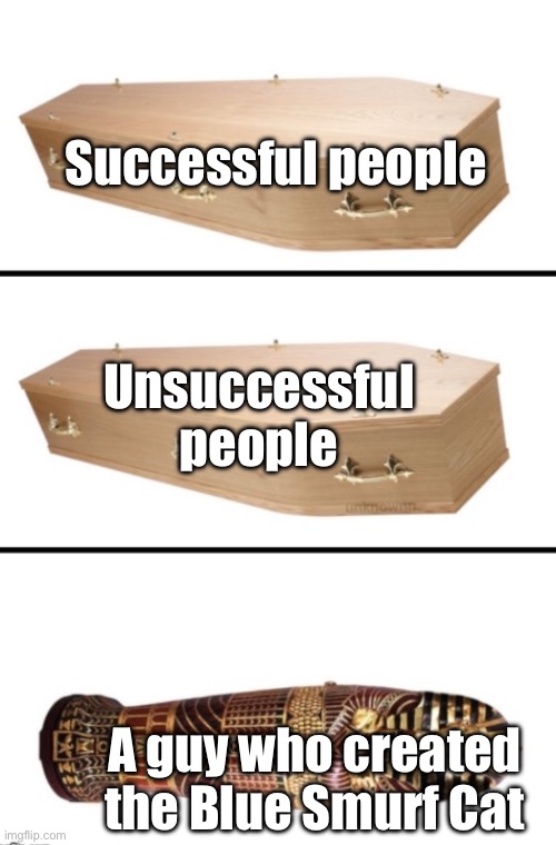 Coffin & Sarcophagus | Successful people; Unsuccessful people; A guy who created the Blue Smurf Cat | image tagged in coffin sarcophagus | made w/ Imgflip meme maker