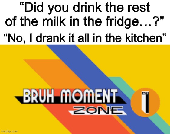… | “Did you drink the rest of the milk in the fridge…?”; “No, I drank it all in the kitchen” | image tagged in sonic mania bruh moment zone | made w/ Imgflip meme maker