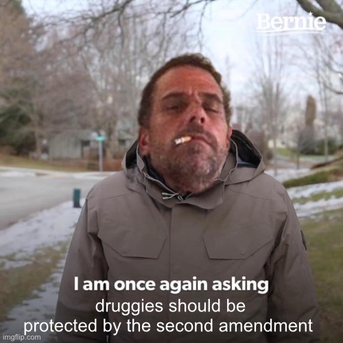 I am once again demanding your support | druggies should be protected by the second amendment | image tagged in memes,bernie i am once again asking for your support | made w/ Imgflip meme maker