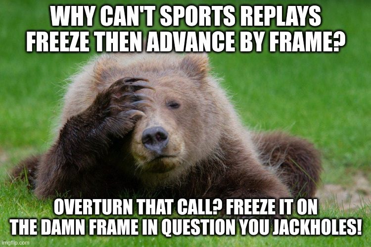 How is it that so few can do? | WHY CAN'T SPORTS REPLAYS FREEZE THEN ADVANCE BY FRAME? OVERTURN THAT CALL? FREEZE IT ON THE DAMN FRAME IN QUESTION YOU JACKHOLES! | made w/ Imgflip meme maker