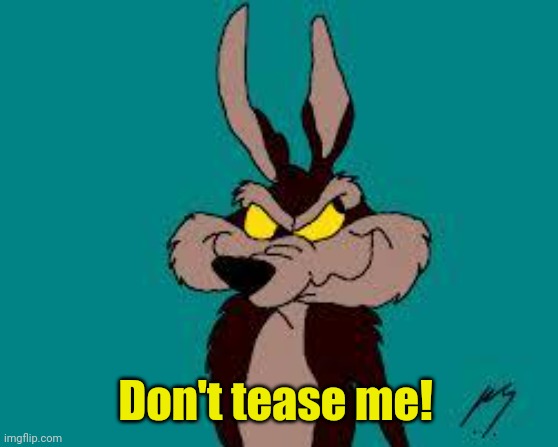 Wiley C. Coyote Idea | Don't tease me! | image tagged in wiley c coyote idea | made w/ Imgflip meme maker