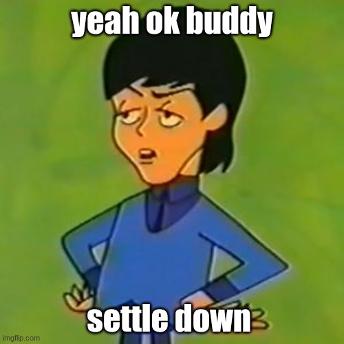 paul mccartney reaction image | yeah ok buddy; settle down | image tagged in the beatles,reaction | made w/ Imgflip meme maker