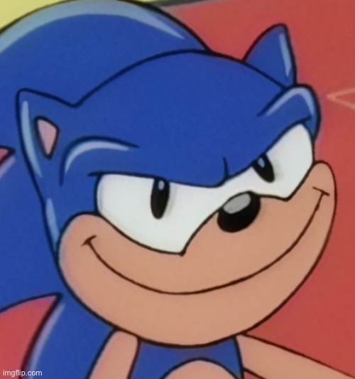 Smug Sonic | image tagged in smug sonic | made w/ Imgflip meme maker