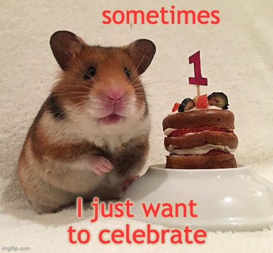 Not for any particular reason . . . just to celebrate | sometimes; I just want
to celebrate | image tagged in hamster cake,hamster,party,celebration | made w/ Imgflip meme maker