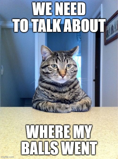 Take A Seat Cat Meme | WE NEED TO TALK ABOUT; WHERE MY BALLS WENT | image tagged in memes,take a seat cat | made w/ Imgflip meme maker