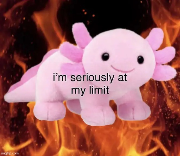 im srs at my limit | image tagged in im srs at my limit | made w/ Imgflip meme maker