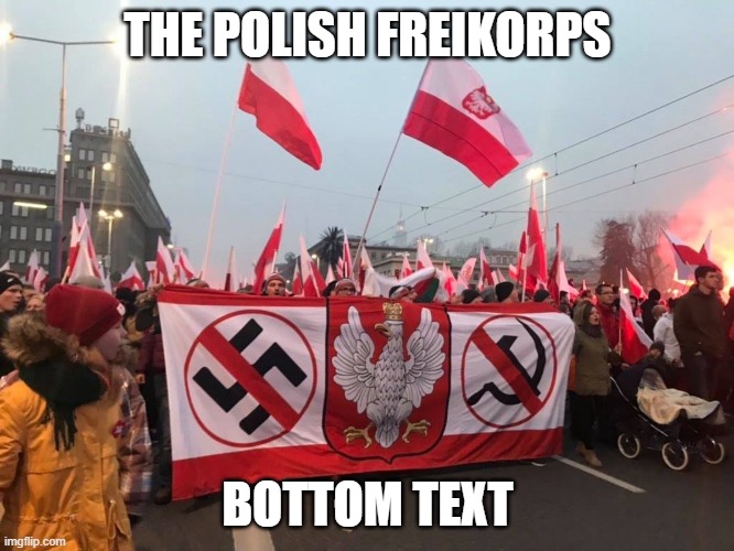 Polish Freikorps | THE POLISH FREIKORPS; BOTTOM TEXT | image tagged in be poland,pro-fandom,anti-nazi,anti-communist | made w/ Imgflip meme maker