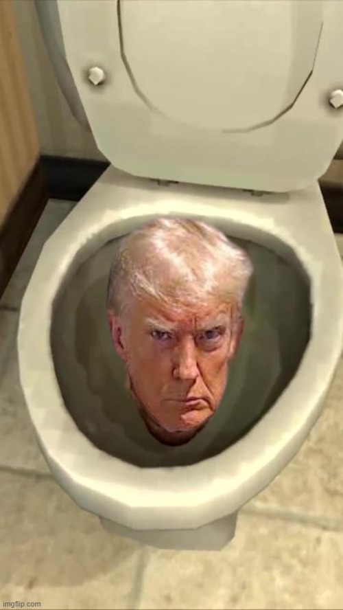 Skibidi toilet but its the Trump Mugshot | image tagged in skibidi toilet | made w/ Imgflip meme maker