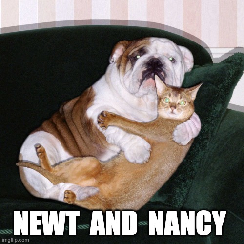 NEWT  AND  NANCY | made w/ Imgflip meme maker