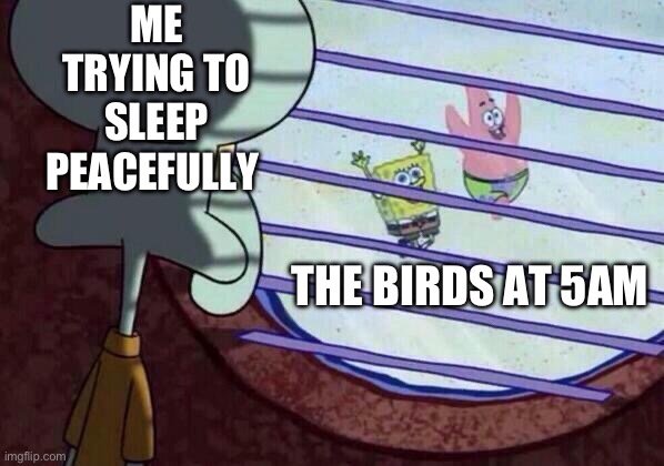 Squidward window | ME TRYING TO SLEEP PEACEFULLY; THE BIRDS AT 5AM | image tagged in squidward window | made w/ Imgflip meme maker