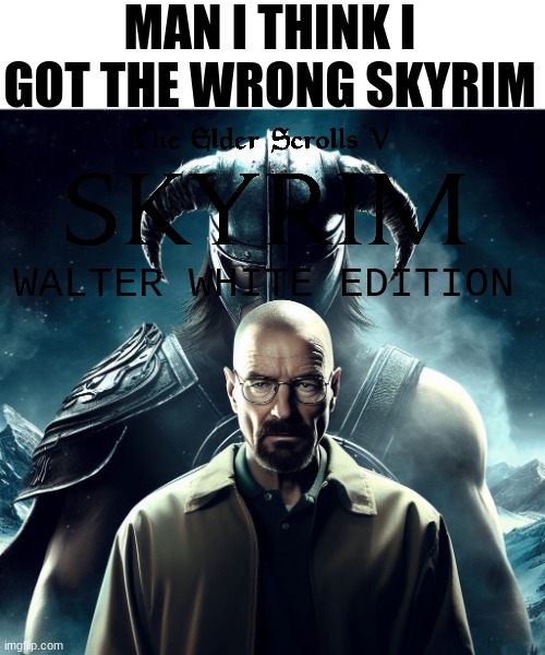 another Skyrim again? | MAN I THINK I GOT THE WRONG SKYRIM; WALTER WHITE EDITION | image tagged in skyrim,walter white | made w/ Imgflip meme maker