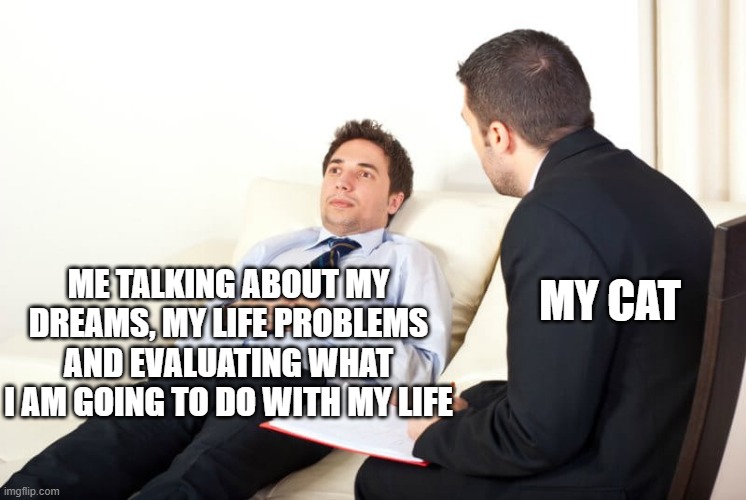 A free psychiatrist | MY CAT; ME TALKING ABOUT MY DREAMS, MY LIFE PROBLEMS AND EVALUATING WHAT I AM GOING TO DO WITH MY LIFE | image tagged in psychiatrist reversed,pets,funny,memes,life,dank memes | made w/ Imgflip meme maker