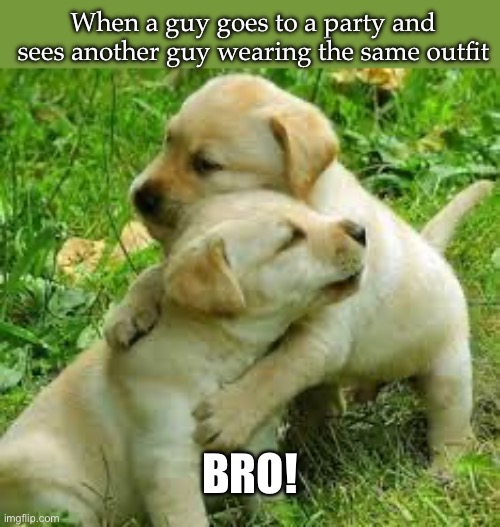 Bros | When a guy goes to a party and sees another guy wearing the same outfit; BRO! | image tagged in bros,dogs,twins,party,hug | made w/ Imgflip meme maker