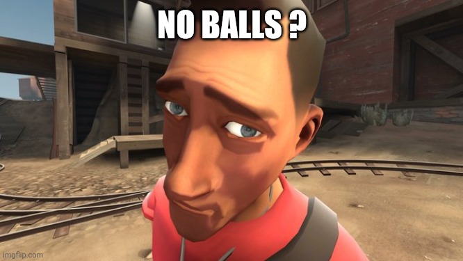 no bitches? | NO BALLS ? | image tagged in no bitches | made w/ Imgflip meme maker