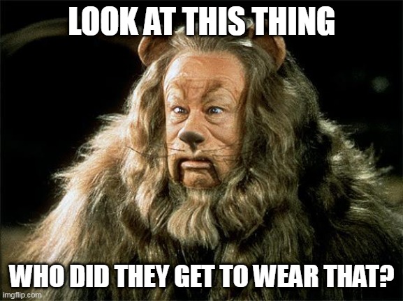 The heck- | LOOK AT THIS THING; WHO DID THEY GET TO WEAR THAT? | image tagged in cowardly lion | made w/ Imgflip meme maker
