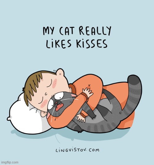 A Cat Guy's Way Of Thinking | image tagged in memes,comics/cartoons,cats,like,kisses,please help me | made w/ Imgflip meme maker