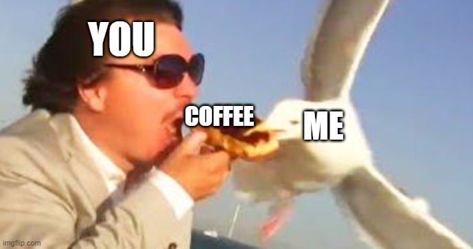 swiping seagull | YOU COFFEE ME | image tagged in swiping seagull | made w/ Imgflip meme maker