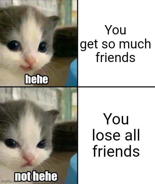 Cat hehe | You get so much friends; You lose all friends | image tagged in cute cat hehe and not hehe | made w/ Imgflip meme maker