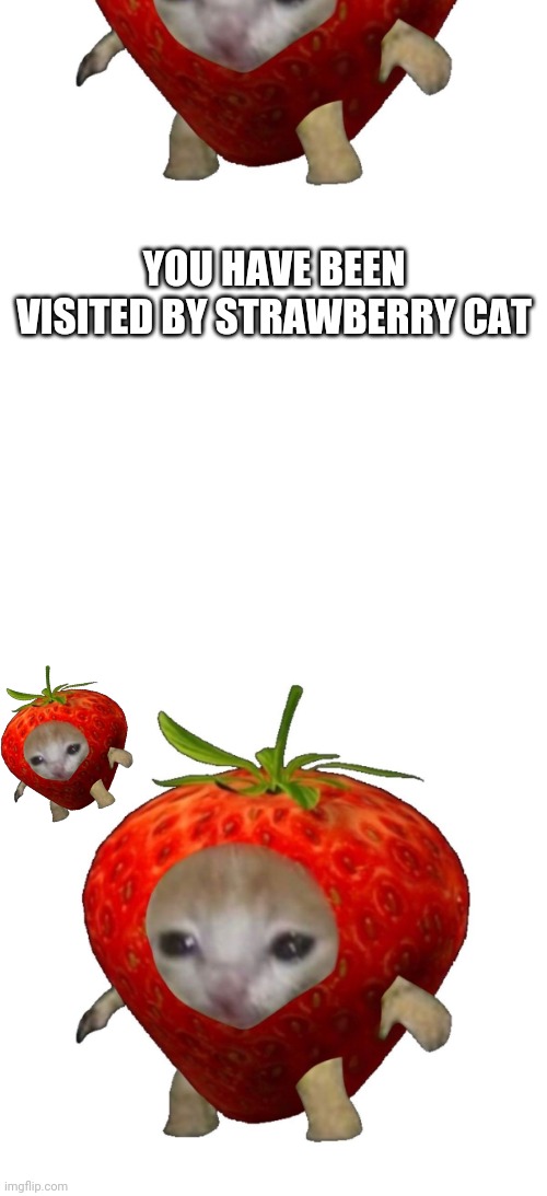 lol | YOU HAVE BEEN VISITED BY STRAWBERRY CAT | image tagged in strawberry,cat | made w/ Imgflip meme maker