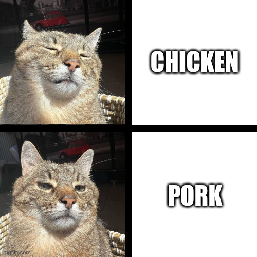 Chicken vs Pork | CHICKEN; PORK | image tagged in stepan cat,cat,chicken,pork,meat,reaction | made w/ Imgflip meme maker