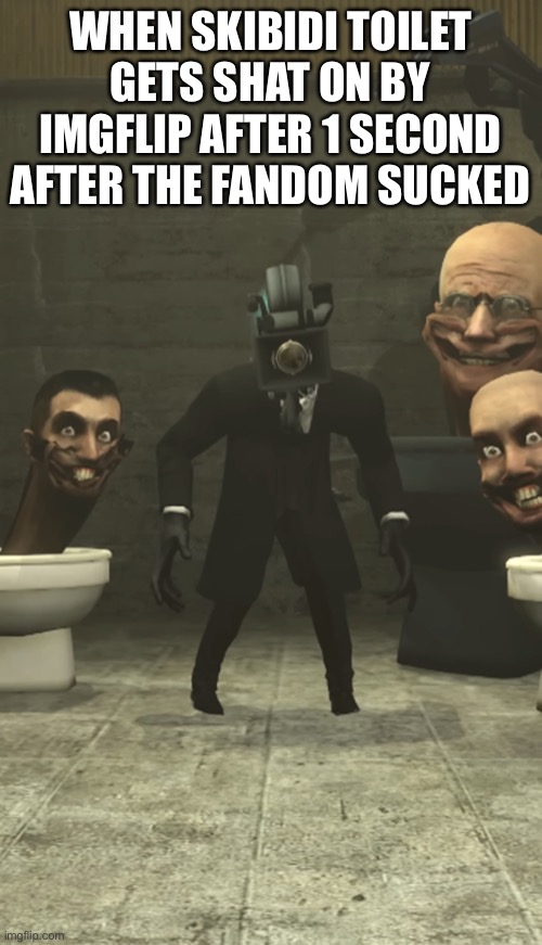 Hating a series just because of it’s fandom doesn’t make you cool, mmmmmkay? | WHEN SKIBIDI TOILET GETS SHAT ON BY IMGFLIP AFTER 1 SECOND AFTER THE FANDOM SUCKED | image tagged in skibidi toilets and cameraman staring at you | made w/ Imgflip meme maker