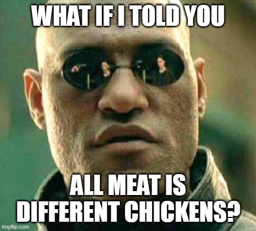 What if i told you | WHAT IF I TOLD YOU; ALL MEAT IS DIFFERENT CHICKENS? | image tagged in what if i told you,meme,memes,funny | made w/ Imgflip meme maker