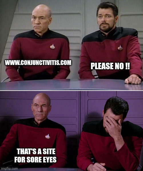 Picard Riker listening to a pun | WWW.CONJUNCTIVITIS.COM; PLEASE NO !! THAT'S A SITE FOR SORE EYES | image tagged in picard riker listening to a pun | made w/ Imgflip meme maker