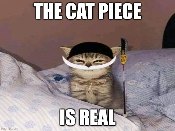 THE CAT PIECE IS REAL | THE CAT PIECE; IS REAL | image tagged in anime,roblox,one piece,cats | made w/ Imgflip meme maker